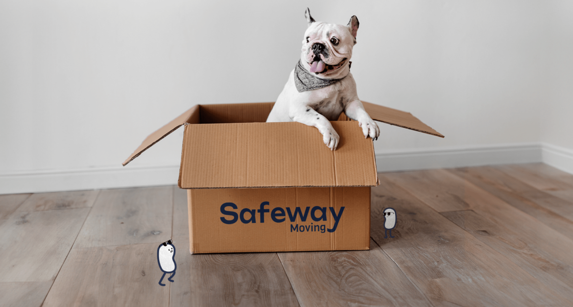 Safeway Moving box with puppy dog popping out