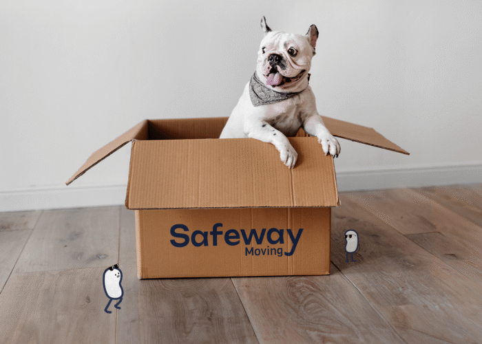 Safeway Moving box with puppy dog popping out