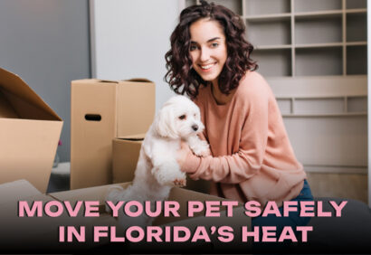 How to Move Your Pet Safely in Florida’s Heat