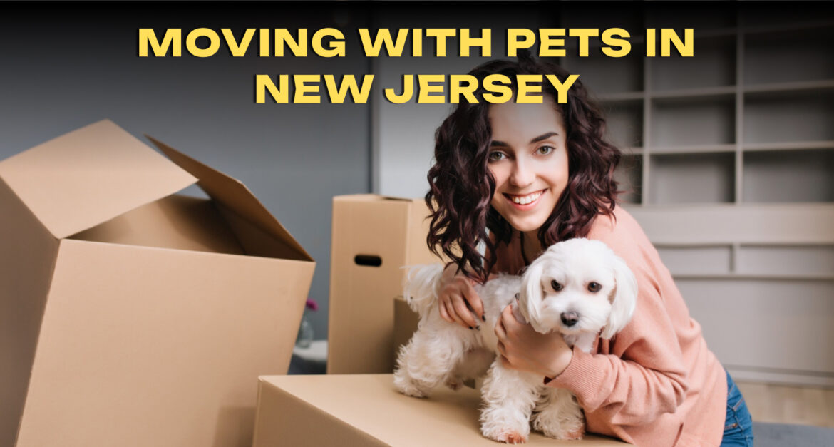 Moving With Pets in New Jersey: Safety Tips