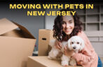 Moving With Pets in New Jersey: Safety Tips