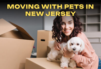 Moving With Pets in New Jersey: Safety Tips Moving With Pets in New Jersey: Safety Tips