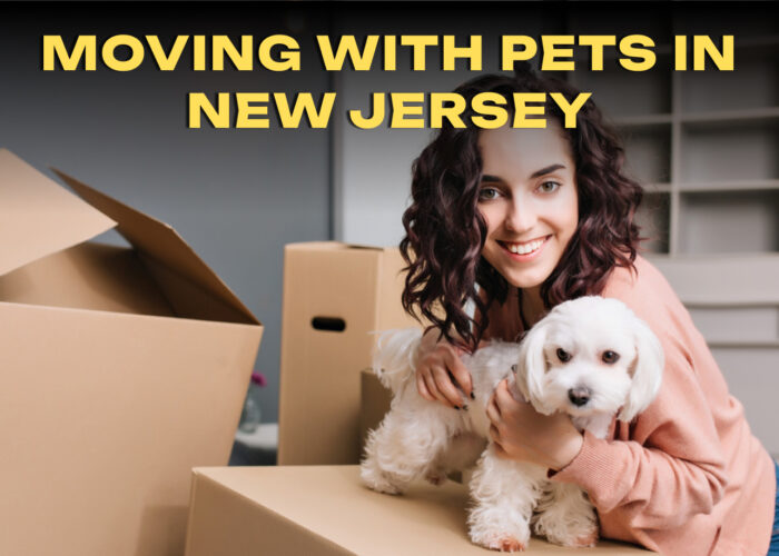 Moving With Pets in New Jersey: Safety Tips Moving With Pets in New Jersey: Safety Tips