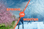 Handling Seasonal Moves in Indiana: Spring vs Winter