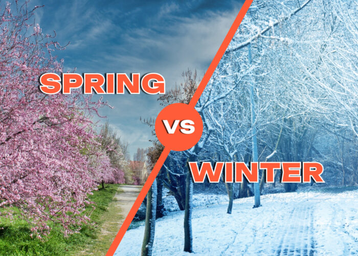 Handling Seasonal Moves in Indiana: Spring vs Winter Handling Seasonal Moves in Indiana: Spring vs Winter