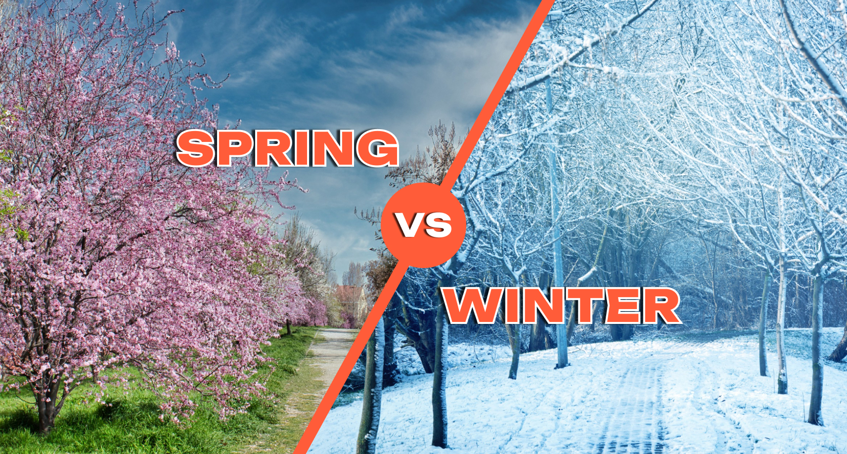 Handling Seasonal Moves in Indiana: Spring vs Winter