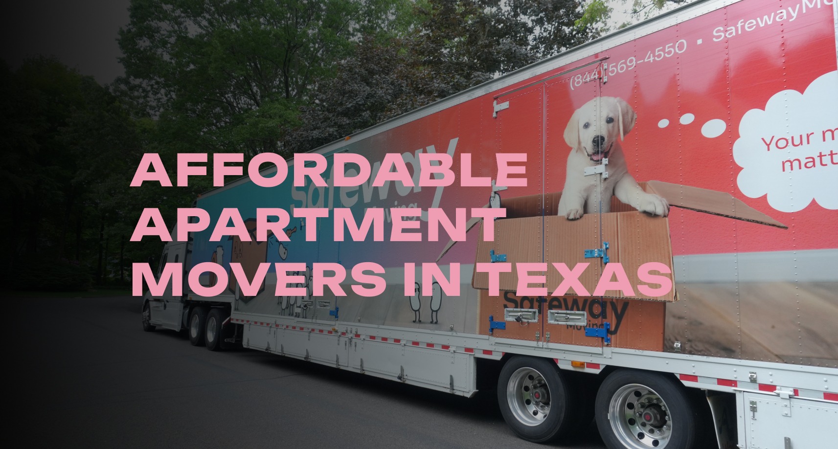 Finding Affordable Apartment Movers in Texas