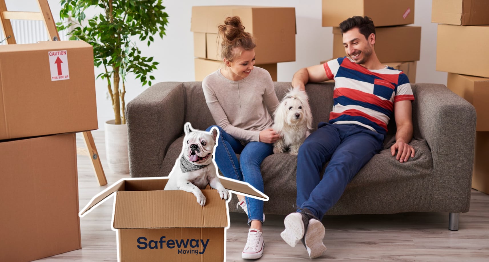 Moving With Pets From Florida to the West Coast