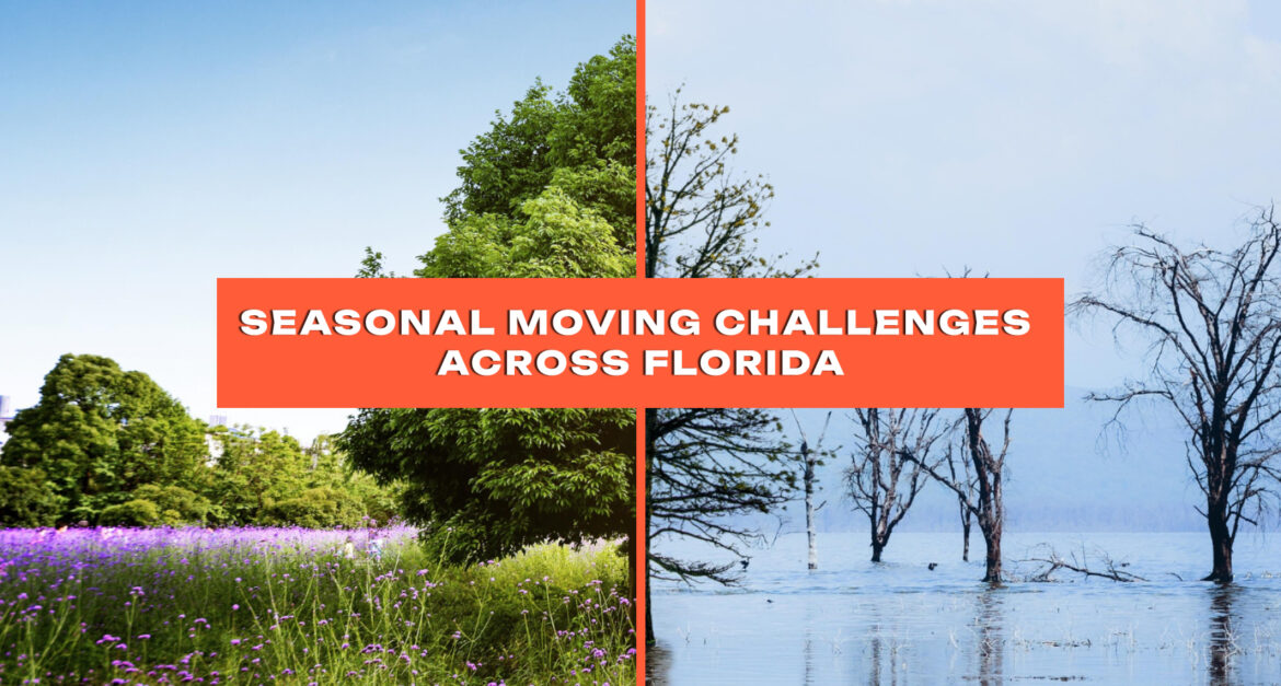 Seasonal Moving Challenges Across Florida