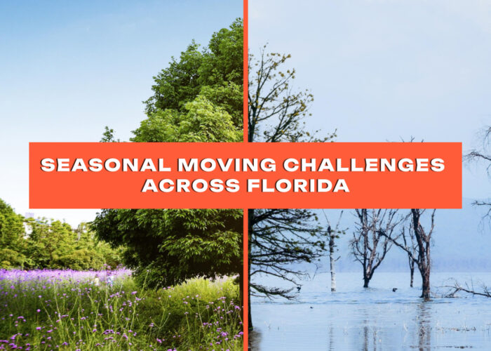 Seasonal Moving Challenges Across Florida