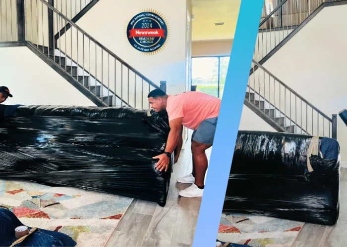 Expert Packing Tips for a Stress-Free Move_ The Modern Guide Expert Packing Tips for a Stress-Free Move_ The Modern Guide